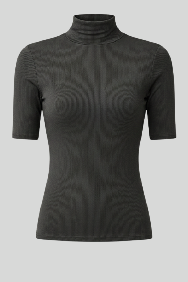 Women’s Slim Fit Roll Neck Top